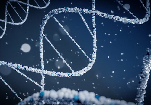 COVID-19: древняя генетическая мутация защищает от тяжелых форм заболевания
